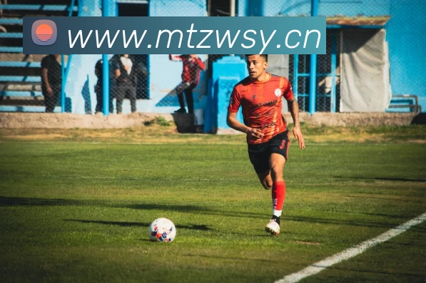 必一体育sport官网平台生态图