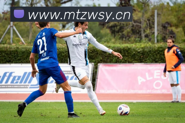 必一体育sport官网全站App